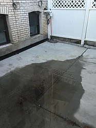 Rented by P Management