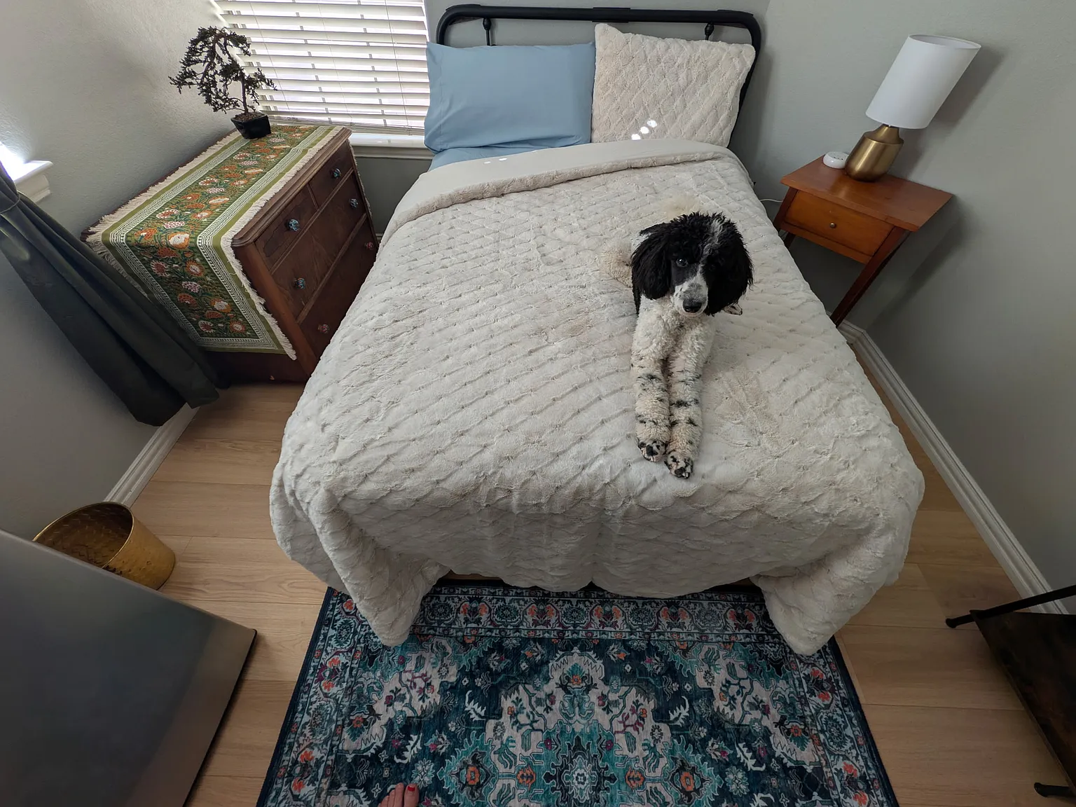 1 bed, 99 sqft, $1,200 — Photo 3