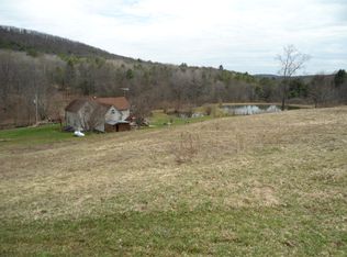 4161 Cartwright Rd, Cameron, NY 14819