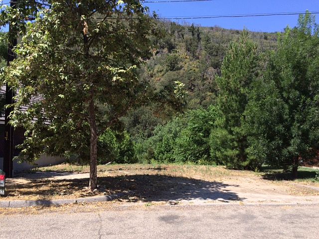 Upper part of the lot