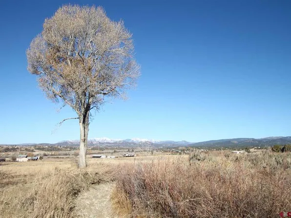 TBD County Road 510, Durango, CO 81303