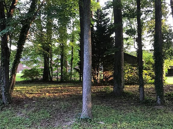 4th image of 110 Willow Oak Dr