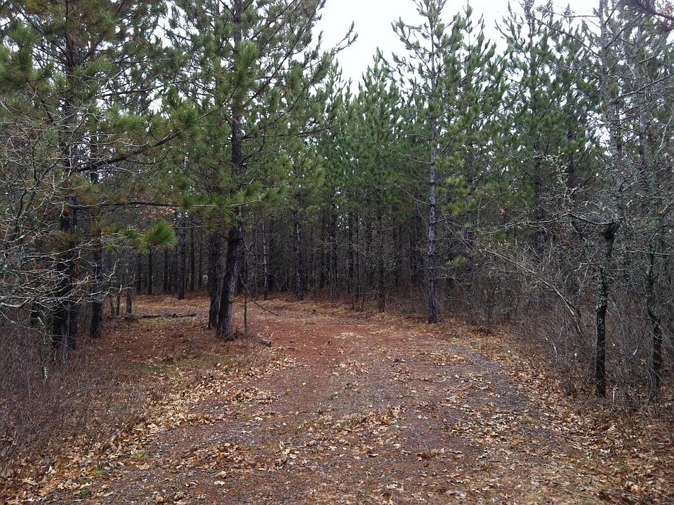 2nd image of Cranberry Cv Lot 15