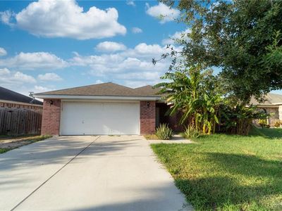 1412 Tierra Divina Ave, Alamo, TX, 78516