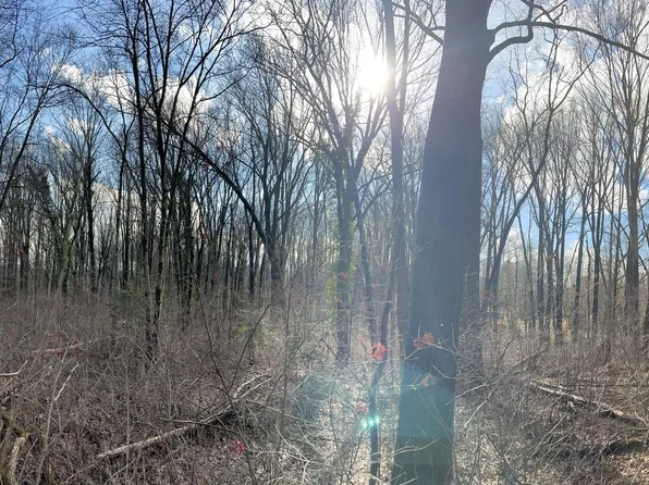 14325 Triadelphia Mill Rd, Dayton, MD 21036