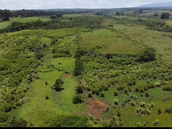 1 Three Private Rd, Hakalau, HI 96710