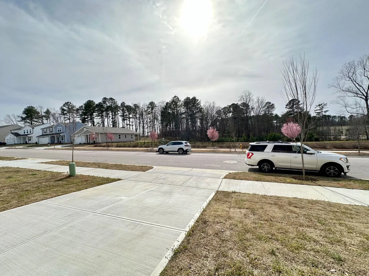 3 bed, 2083 sqft, $2,150 — Photo 3