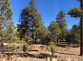 2162 Cody Cir, Happy Jack, AZ 86024