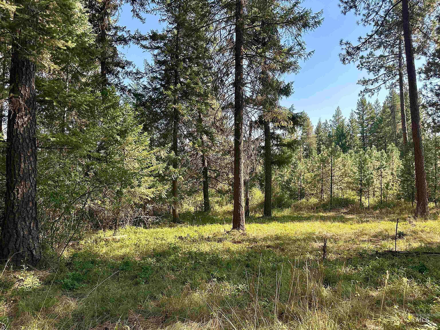Highway 3 & Hodgson Rd, Deary, ID 83823 MLS 98889069 Zillow