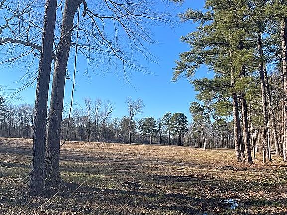 5th image of 161 Autumn Woods Dr
