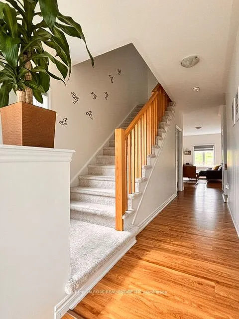 3 bed, $2,550 — Photo 3