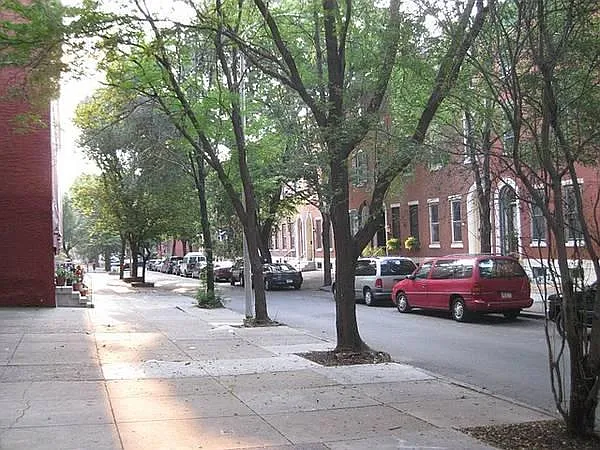 Tree lined street