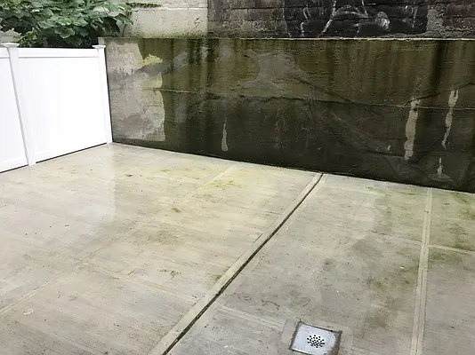 Rented by Zuz Realty | media 22