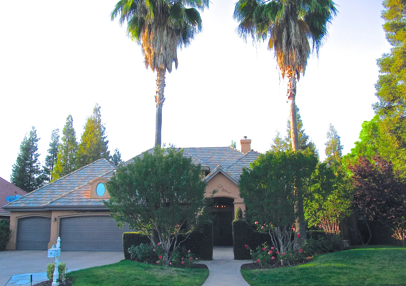 1546 E Forest Oaks Dr photo 1