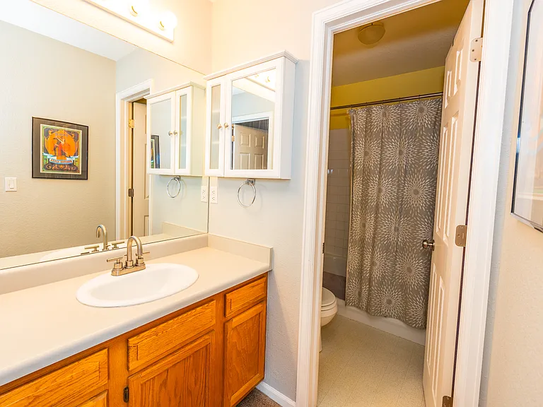 ensuite bathroom (repainted, vinyl plank flooring)