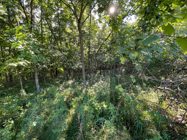 L115 Staghorn Black Frst, La Valle, WI 53941