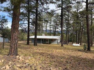 19 Wilson Ct, Timberon, NM 88350
