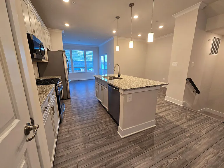 1408 Clingmans Dome Dr — Photo 5