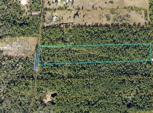 731 Old Bubbly Rd, Pierson, FL 32180