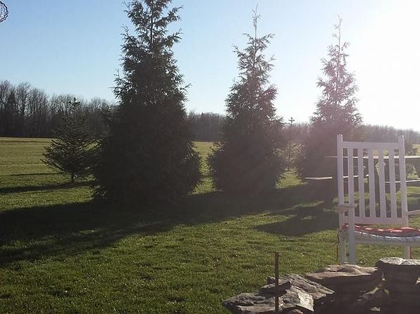 10540 Bittinger Rd, Grantsville, MD 21536