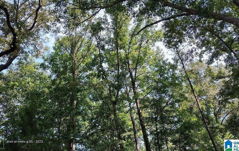 1st image of Lake View Dr #37