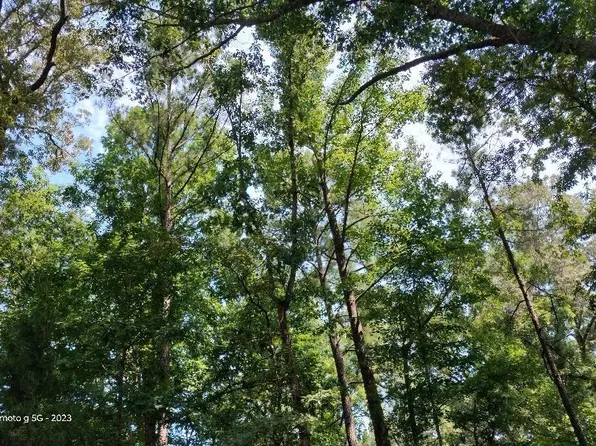 Lake View Dr #37, Mc Calla, AL 35111