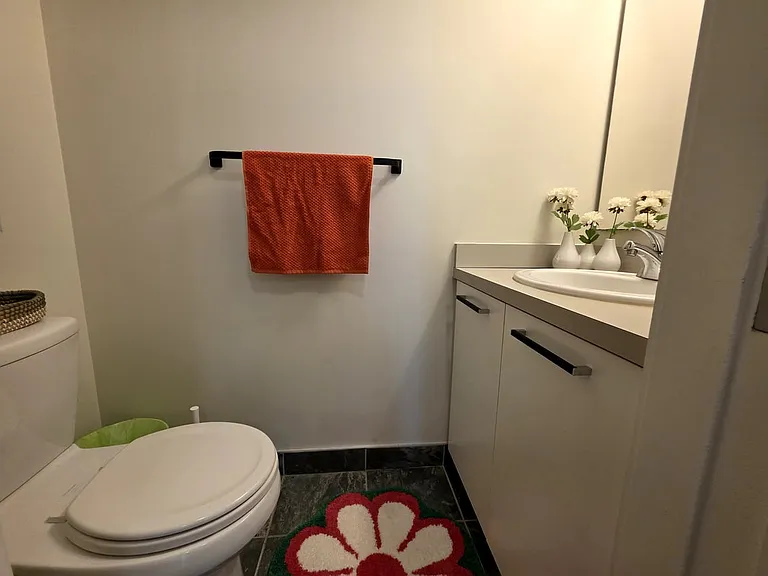 12 York St #310C — Photo 6