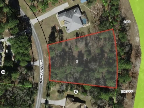 5301 N Mallows Cir, Beverly Hills, FL 34465
