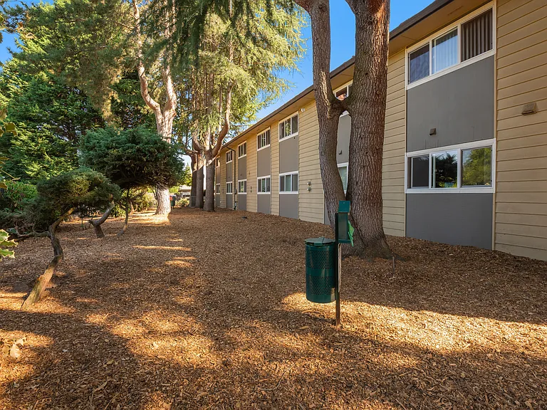 Park At Allen Apartments — Photo 29