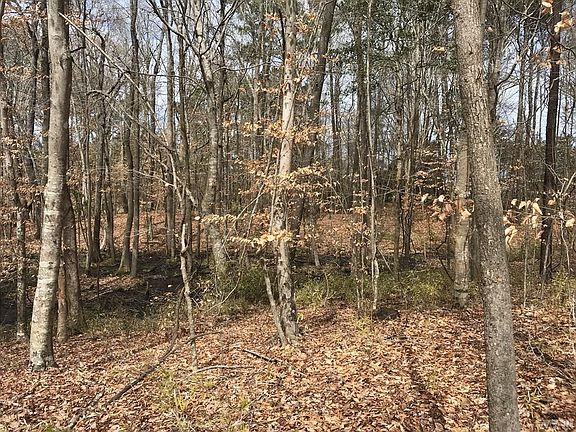 4th image of Lot 1 Shipyard Road LOT 1