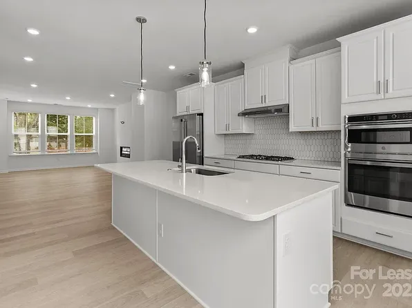 538 Annie Lowery Way, Davidson, NC 28036