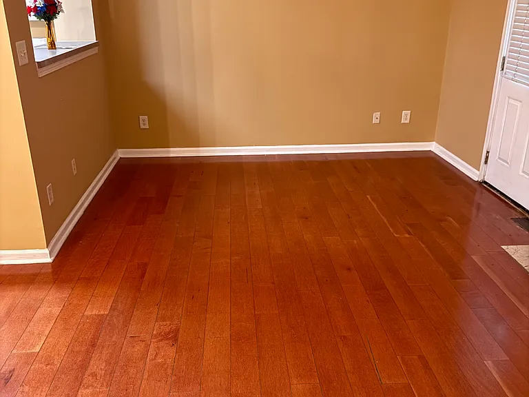 1161 Primrose View Cir — Photo 11