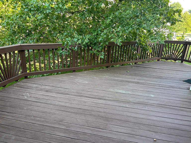 Deck with tree for privacy - main level