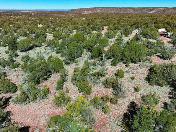766 E Hualpai Trl, Williams, AZ 86046