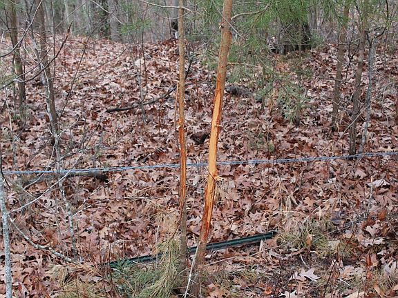 Rubs along a rubline leading through a saddle in the ridge