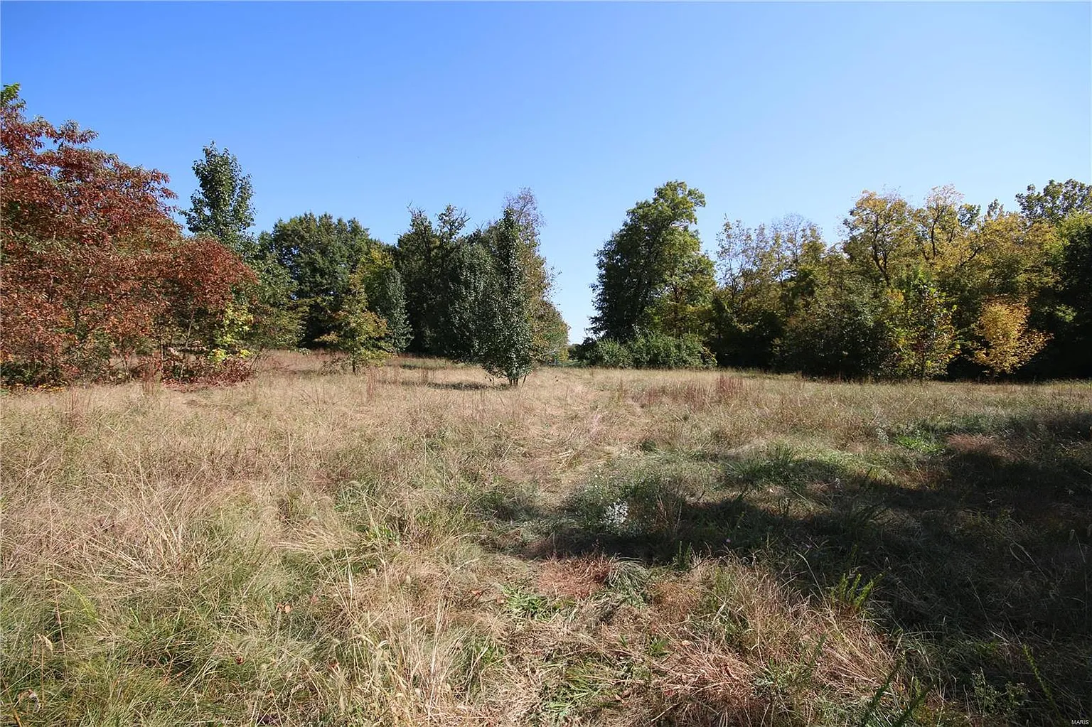 121 Copper Falls Ct photo 1