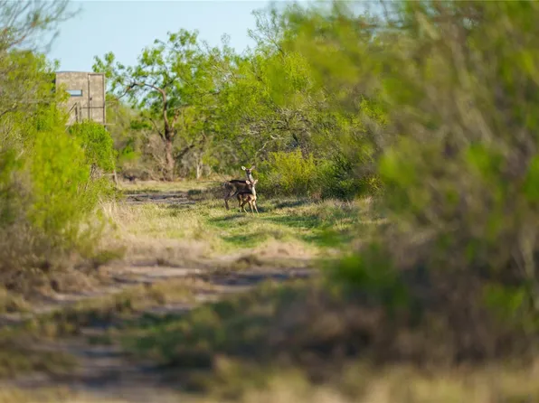 12355 State Highway 131, Brackettville, TX 78832
