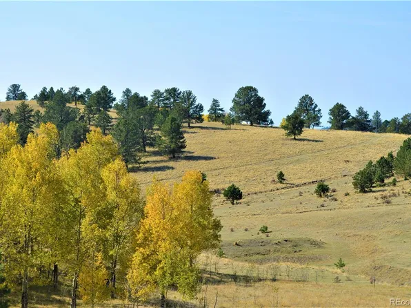 County Rd 86, Victor, CO 80860