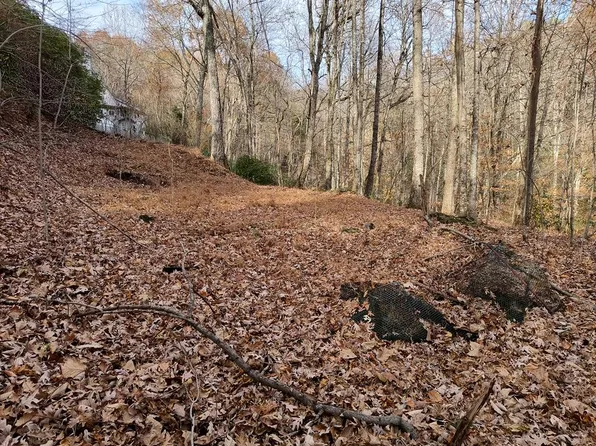 10 Cherokee Cir, Ellijay, GA 30536