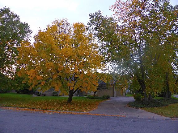 Park-like setting