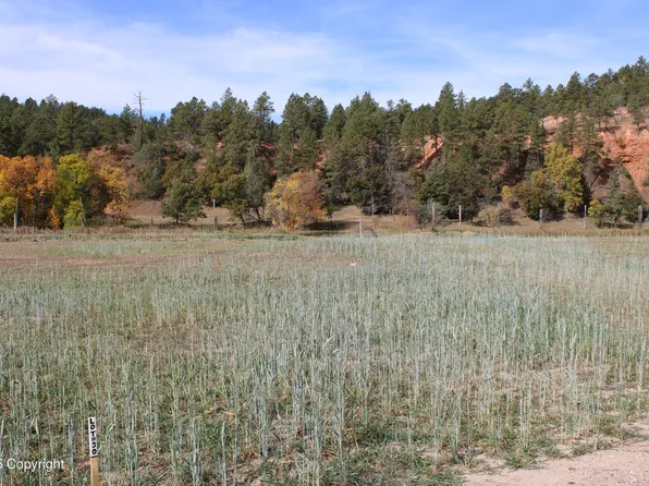 LOT 30 Red Devil Dr, Hulett, WY 82720