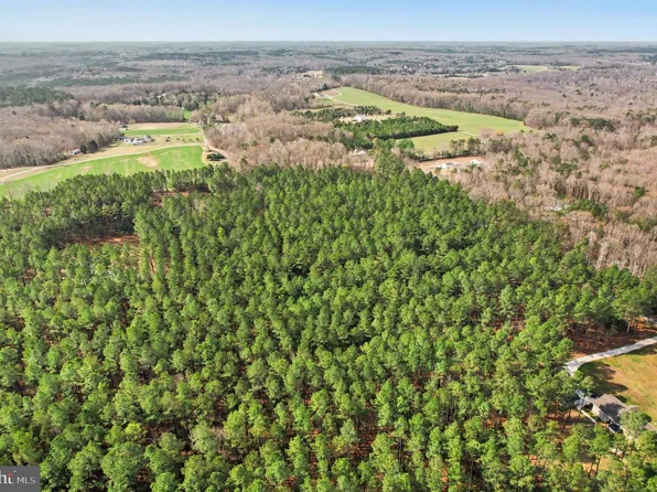 Carterss Gate, Ruther Glen, VA 22546