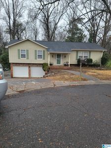 316 Catherine Ct, Gardendale, AL, 35071