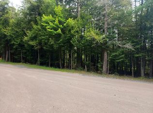 7304 Chicken In The Woods Rd, Three Lakes, WI 54562