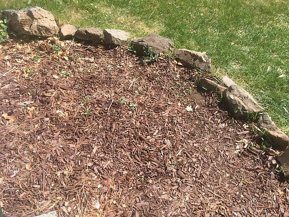 Yard Updates.