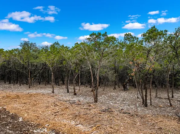 TRACT 15 Gillespie Ridge Dr, Harper, TX 78631