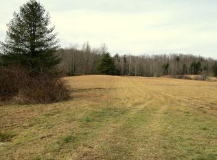 1341 Solomon Jones Rd, Cedar Mountain, NC 28718