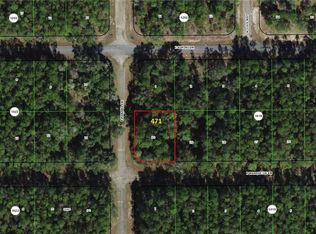471 E Marquette Ln, Citrus Springs, FL 34434
