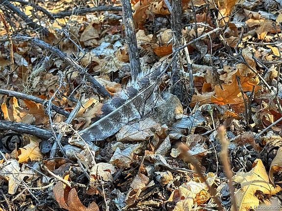 4th image of TBD Country Road 572