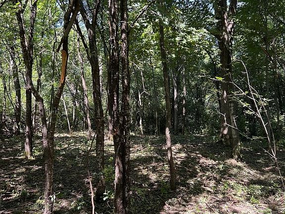 4th image of 0 Hemenway Road